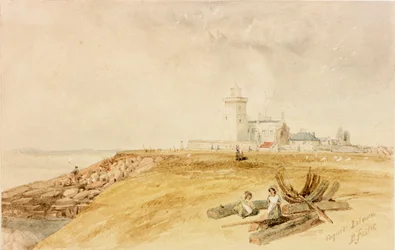 Coquet Island